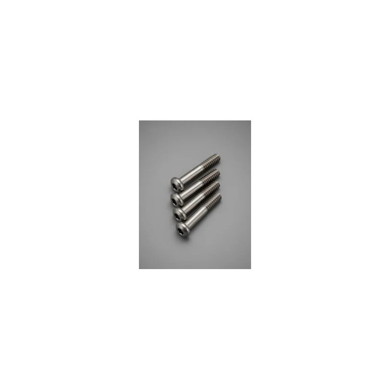 Tornillos semiroscados M2 x 10mm titanio (4 unidades)