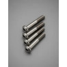 Tornillos semiroscados M2 x 10mm titanio (4 unidades)